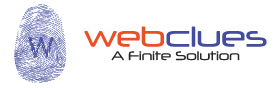 webcluesinfotech
